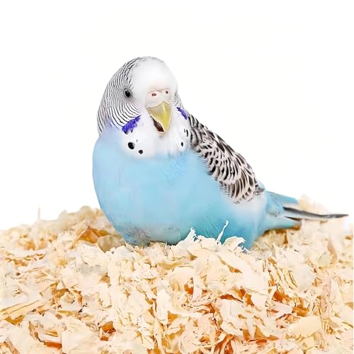 MANON ROSA Kleintierstreu – natürliche Pappel Weichholz Späne Haustierstreu – geringe Staubgeruchskontrolle für Vögel, Papageien, Sittiche, Meerschweinchen, Kaninchen, Hamster (0,5 kg) von MANON ROSA