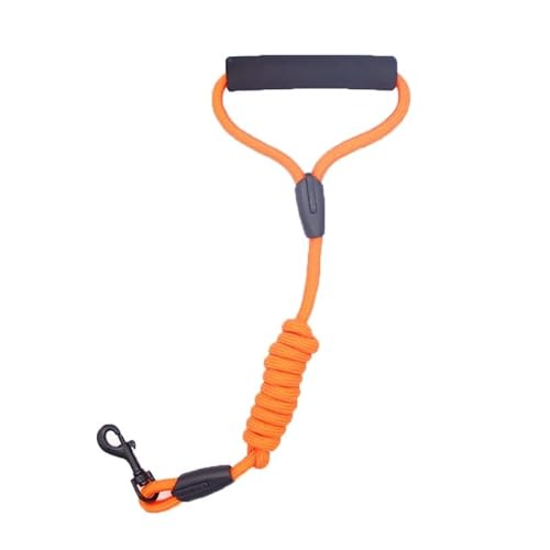 MANTOU Solides Hundeleinen-Seil für kleine große Hunde Outdoor-Trainings-Haustiergürtel Nylon-Katzenleinen führen für Chihuahua-Zubehör-Sachen MANTOU Solides Hundeleinen-Seil für kleine große Hunde Outdoor-Trainings-Haustiergürtel Nylon-Katzenleinen führen für Chihuahua-Zubehör-Sachen von MANTOU
