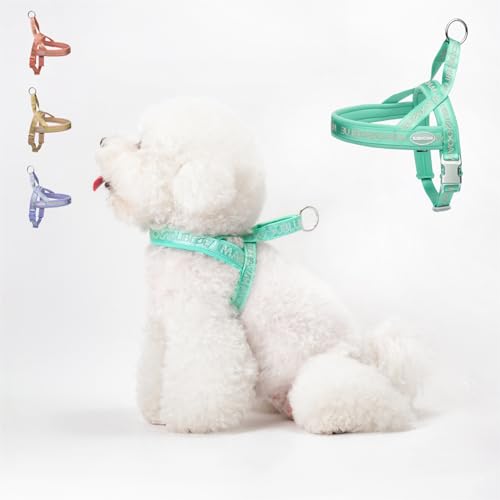 MAOGOUBLUE Ausbruchsicheres Haustier-Hundegeschirr mit Lycra-Gewebe und Schnellverschluss-Schnalle (Minzgrün, XL) von MAOGOUBLUE