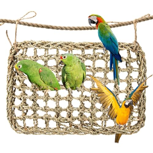 MAQIHAN Seegrasmatte für Vögel – Vogelspielzeug, Seegras-Matten, Futtersuche, Aktivität, Spielgrasmatte, Kletterwand, Seegrasnetz, Hängematte, Spielzeug für mittelgroße Sittiche, Lovebirds Finken, MAQIHAN Seegrasmatte für Vögel – Vogelspielzeug, Seegras-Matten, Futtersuche, Aktivität, Spielgrasmatte, Kletterwand, Seegrasnetz, Hängematte, Spielzeug für mittelgroße Sittiche, Lovebirds Finken, von MAQIHAN