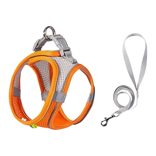 Katzengeschirr, ausbruchsicheres Design, gepolsterte Brustweste für kleine Hunde, Haustiere, Spaziergänge und Reisen, unverzichtbare Ausrüstung für Katzen Katzengeschirr, ausbruchsicheres Design, gepolsterte Brustweste für kleine Hunde, Haustiere, Spaziergänge und Reisen, unverzichtbare Ausrüstung für Katzen von MARCBUSE