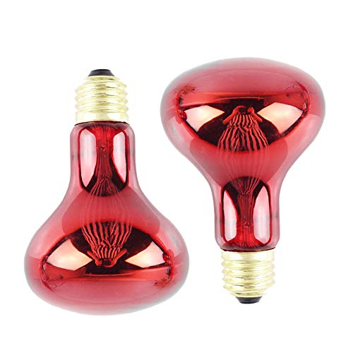 MARKELL 100W 2 Pack Infrarot WäRme Lampe GlüHbirne Rot Licht GlüHbirne für Eidechsen Bartagamen ChamäLeons Schlangen Reptilien & Amphibien 220V von MARKELL