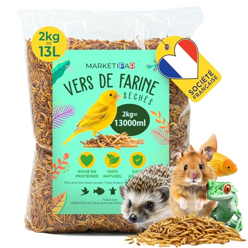 Getrocknete Mehlwürmer – 2 kg oder 13 l Futter für Fische, Vögel, Schildkröten, Igel, Nagetiere und Reptilien (2 kg) von MARKETIFAR