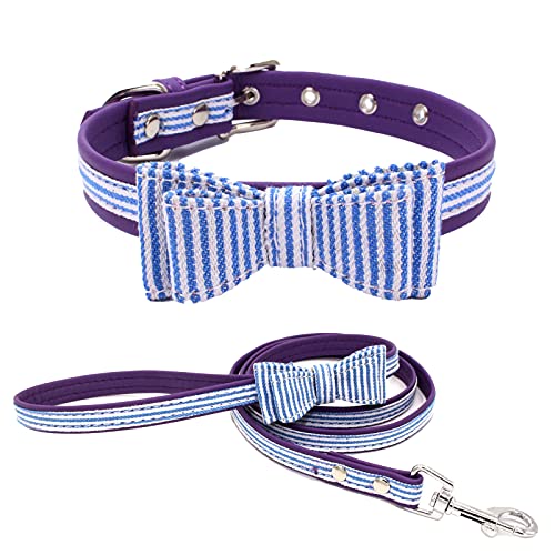 MARMODAY 1 Set Stoff Zinklegierung Welpenhalsband für kleine Hunde verstellbares Halsband Wurfhalsbänder Hundehalsbänder stark und langlebig von MARMODAY