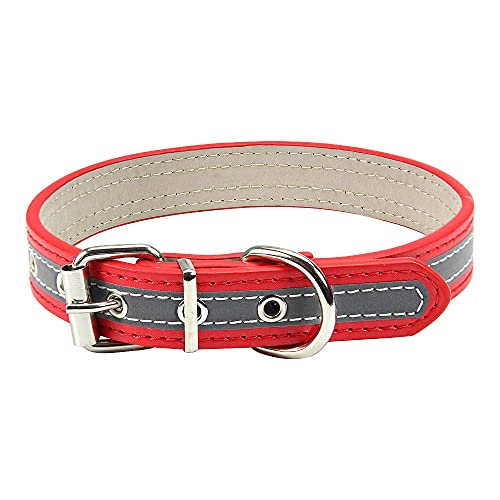 MARMODAY Hundehalsband, Leder, Metall, für kleine Hunde, stabiles und reflektierendes Halsband von MARMODAY