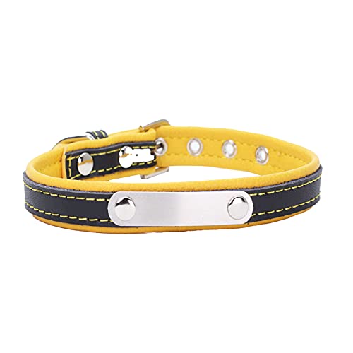 MARMODAY Hundehalsband, Leder, Metall, für kleine Hunde, verstellbar, robust und nicht leicht zu brechen. von MARMODAY