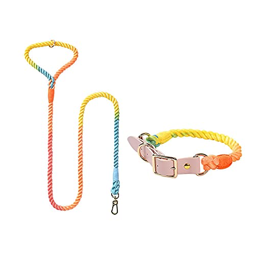 MARMODAY Set mit Leinen und Halsband aus robuster Baumwolle mit weichem Griff, 1 Set 150 cm x 8 mm + L-Regenbogenfarben von MARMODAY