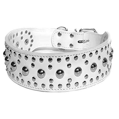 MARMODAY Verstellbares Lederhalsband mit Leine für kleine Hunde, Katzen, Haustier-Halsbänder, helle Oberfläche und stark von MARMODAY