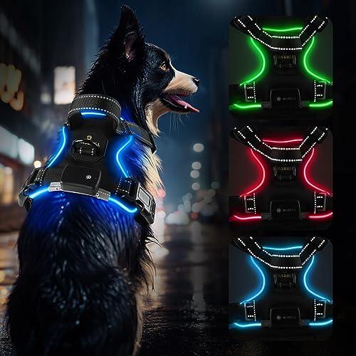 Hundegeschirr Leuchtend Aufladbar, LED Hundegeschirr Verstellbar Reflektierend mit Griff, Weich Gepolstert Beleuchtete Brustgeschirr für Kleine, Mittlere Große Hunde Leucht Geschirr(Blau L) von MASBRILL