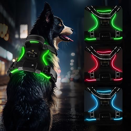 Hundegeschirr Leuchtend Aufladbar, LED Hundegeschirr Verstellbar Reflektierend mit Griff, Weich Gepolstert Beleuchtete Brustgeschirr für Kleine, Mittlere Große Hunde Leucht Geschirr(Grün L) von MASBRILL