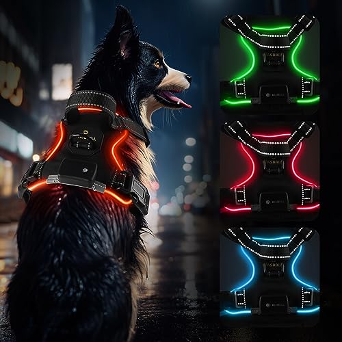 Hundegeschirr Leuchtend Aufladbar, LED Hundegeschirr Verstellbar Reflektierend mit Griff, Weich Gepolstert Beleuchtete Brustgeschirr für Kleine, Mittlere Große Hunde Leucht Geschirr(Rot XL) von MASBRILL