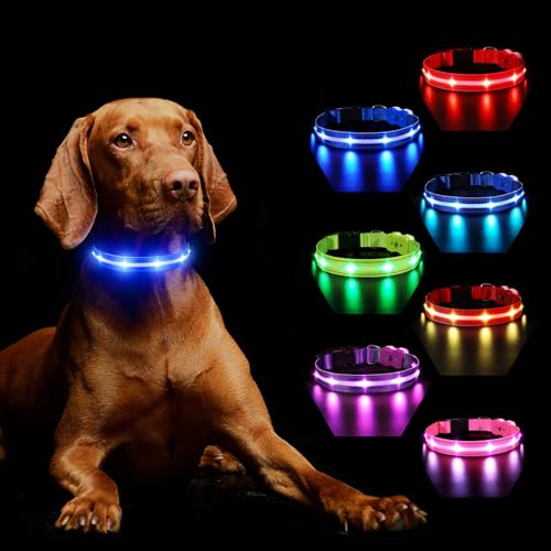 Hundehalsband Leuchtend Aufladbar, Leuchthalsband Hund 7 RGB Farbwechsel mit 8 Leuchtmodi, Verstellbare LED HundeHalsband Wasserdicht für Kleine Mittlere Große Hunde Leuchtendes Halsband, Blau L Hundehalsband Leuchtend Aufladbar, Leuchthalsband Hund 7 RGB Farbwechsel mit 8 Leuchtmodi, Verstellbare LED HundeHalsband Wasserdicht für Kleine Mittlere Große Hunde Leuchtendes Halsband, Blau L von MASBRILL