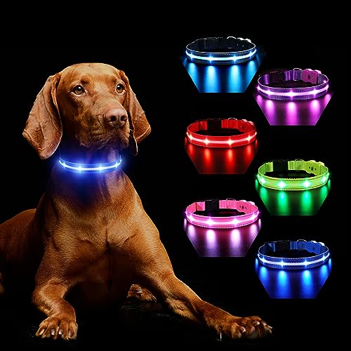 Hundehalsband Leuchtend Aufladbar, Leuchthalsband Hund 7 RGB Farbwechsel mit 8 Leuchtmodi, Verstellbare LED HundeHalsband Wasserdicht für Kleine Mittlere Große Hunde Leuchtendes Halsband, Blau L von MASBRILL