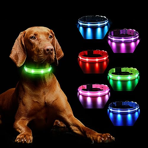 Hundehalsband Leuchtend Aufladbar, Leuchthalsband Hund 7 RGB Farbwechsel mit 8 Leuchtmodi, Verstellbare LED HundeHalsband Wasserdicht für Kleine Mittlere Große Hunde Leuchtendes Halsband, Grün L von MASBRILL