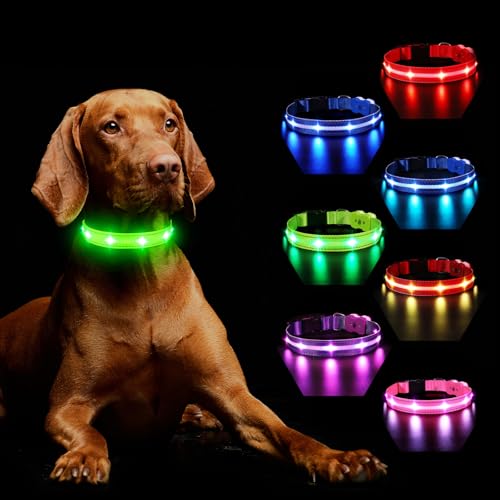 Hundehalsband Leuchtend Aufladbar, Leuchthalsband Hund 7 RGB Farbwechsel mit 8 Leuchtmodi, Verstellbare LED HundeHalsband Wasserdicht für Kleine Mittlere Große Hunde Leuchtendes Halsband, Grün S Hundehalsband Leuchtend Aufladbar, Leuchthalsband Hund 7 RGB Farbwechsel mit 8 Leuchtmodi, Verstellbare LED HundeHalsband Wasserdicht für Kleine Mittlere Große Hunde Leuchtendes Halsband, Grün S von MASBRILL