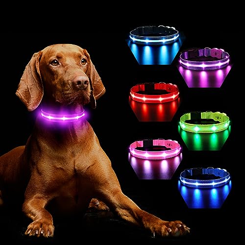 Hundehalsband Leuchtend Aufladbar, Leuchthalsband Hund 7 RGB Farbwechsel mit 8 Leuchtmodi, Verstellbare LED HundeHalsband Wasserdicht für Kleine Mittlere Große Hunde Leuchtendes Halsband, Lila L von MASBRILL
