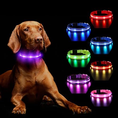 Hundehalsband Leuchtend Aufladbar, Leuchthalsband Hund 7 RGB Farbwechsel mit 8 Leuchtmodi, Verstellbare LED HundeHalsband Wasserdicht für Kleine Mittlere Große Hunde Leuchtendes Halsband, Lila L Hundehalsband Leuchtend Aufladbar, Leuchthalsband Hund 7 RGB Farbwechsel mit 8 Leuchtmodi, Verstellbare LED HundeHalsband Wasserdicht für Kleine Mittlere Große Hunde Leuchtendes Halsband, Lila L von MASBRILL