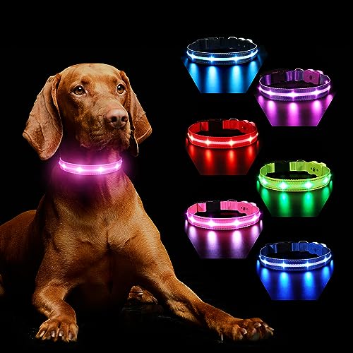 Hundehalsband Leuchtend Aufladbar, Leuchthalsband Hund 7 RGB Farbwechsel mit 8 Leuchtmodi, Verstellbare LED HundeHalsband Wasserdicht für Kleine Mittlere Große Hunde Leuchtendes Halsband, Rosa M von MASBRILL