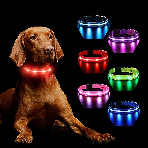 Hundehalsband Leuchtend Aufladbar, Leuchthalsband Hund 7 RGB Farbwechsel mit 8 Leuchtmodi, Verstellbare LED HundeHalsband Wasserdicht für Kleine Mittlere Große Hunde Leuchtendes Halsband, Rot L von MASBRILL