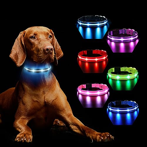 Hundehalsband Leuchtend Aufladbar, Leuchthalsband Hund 7 RGB Farbwechsel mit 8 Leuchtmodi, Verstellbare LED HundeHalsband Wasserdicht für Kleine Mittlere Große Hunde Leuchtendes Halsband, Schwarz S von MASBRILL
