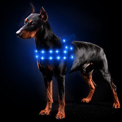 MASBRILL Hundegeschirr Leuchtend Wiederaufladbar, LED Leuchtgeschirr Verstellbar für Klein Mittelgroße Große Hunde, Gepolstert Reflektierend Beleuchtetes Hundegeschirr für Nachtspaziergänge(Blau L) von MASBRILL