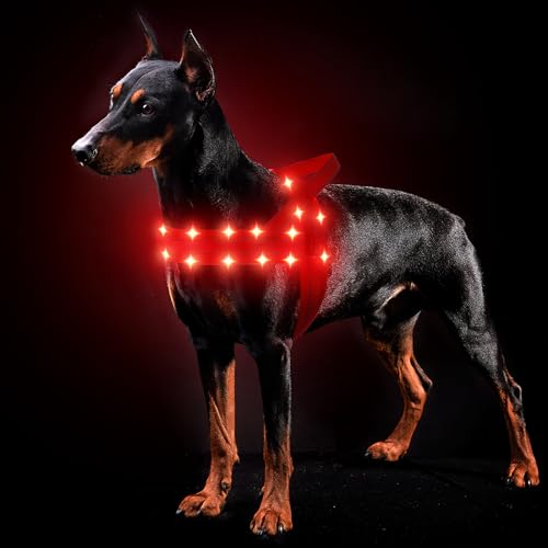 MASBRILL Hundegeschirr Leuchtend Wiederaufladbar, LED Leuchtgeschirr Verstellbar für Klein Mittelgroße Große Hunde, Gepolstert Reflektierend Beleuchtetes Hundegeschirr für Nachtspaziergänge(Rot L) von MASBRILL