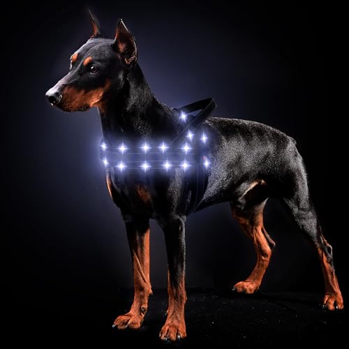 MASBRILL Hundegeschirr Leuchtend Wiederaufladbar, LED Leuchtgeschirr Verstellbar für Klein Mittelgroße Große Hunde, Reflektierend Beleuchtetes Hundegeschirr für Nachtspaziergänge(Schwarz L) von MASBRILL