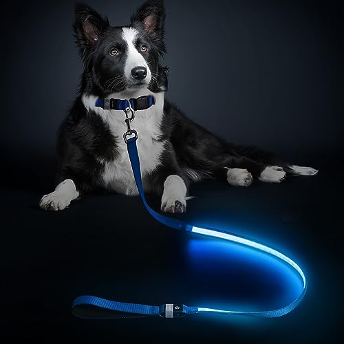 LED Hundeleine, Leuchtend Hundeleine für Kleine, Mittel Große Hunde, Wiederaufladbar & Wasserdicht, 3 Beleuchtungsmodi 5 Farben Erhältlich, Glühen im Dunkeln für Sicherheit Nachtwandern (Blau) von MASBRILL