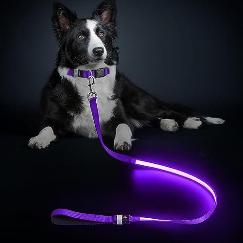 LED Hundeleine, Leuchtend Hundeleine für Kleine, Mittel Große Hunde, Wiederaufladbar & Wasserdicht, 3 Beleuchtungsmodi 5 Farben Erhältlich, Glühen im Dunkeln für Sicherheit Nachtwandern (Lila) von MASBRILL