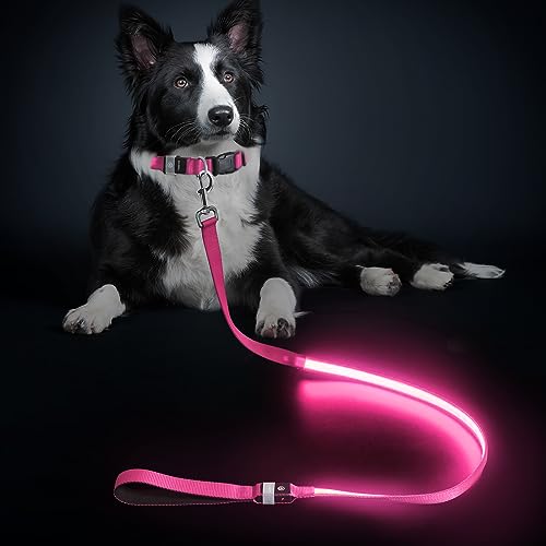 LED Hundeleine, Leuchtend Hundeleine für Kleine, Mittel Große Hunde, Wiederaufladbar & Wasserdicht, 3 Beleuchtungsmodi 5 Farben Erhältlich, Glühen im Dunkeln für Sicherheit Nachtwandern (Rosa) von MASBRILL