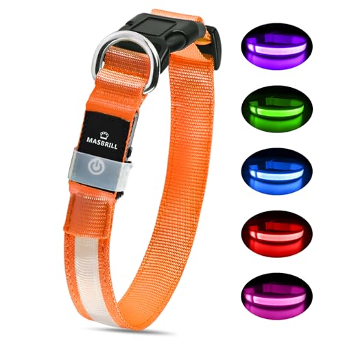 Leuchthalsband Hund, Hundehalsband Leuchtend Aufladbar, LED Halsband für Hunde Leuchtband Einstellbar Wasserdicht mit 3 Lichtmodi Sicherheit für Kleine Mittlere Große Hunde, Orange M Leuchthalsband Hund, Hundehalsband Leuchtend Aufladbar, LED Halsband für Hunde Leuchtband Einstellbar Wasserdicht mit 3 Lichtmodi Sicherheit für Kleine Mittlere Große Hunde, Orange M von MASBRILL