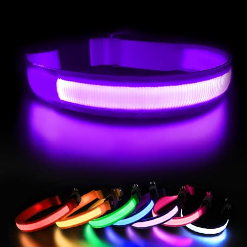 Leuchthalsband Hund Aufladbar, Hundehalsband Leuchtend, LED Halsband für Hunde Leuchtband Einstellbar Wasserdicht mit 3 Lichtmodi Sicherheit Hundehalsband für Kleine Mittlere Große Hunde, Lila-L Leuchthalsband Hund Aufladbar, Hundehalsband Leuchtend, LED Halsband für Hunde Leuchtband Einstellbar Wasserdicht mit 3 Lichtmodi Sicherheit Hundehalsband für Kleine Mittlere Große Hunde, Lila-L von MASBRILL