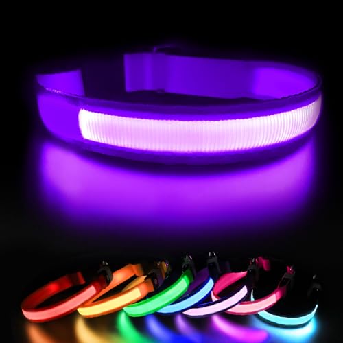 Leuchthalsband Hund Aufladbar, Hundehalsband Leuchtend, LED Halsband für Hunde Leuchtband Einstellbar Wasserdicht mit 3 Lichtmodi Sicherheit Hundehalsband für Kleine Mittlere Große Hunde, Lila-M Leuchthalsband Hund Aufladbar, Hundehalsband Leuchtend, LED Halsband für Hunde Leuchtband Einstellbar Wasserdicht mit 3 Lichtmodi Sicherheit Hundehalsband für Kleine Mittlere Große Hunde, Lila-M von MASBRILL