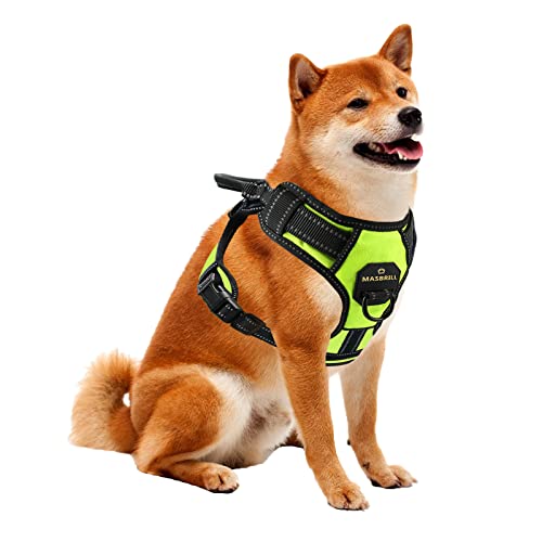 MASBRILL Hundegeschirr Grosse Hunde, Anti Zug Geschirr Hunde Brustgeschirre Einstellbar und Reflektierend, Weich Atmungsaktiv Gepolstert Hundegeschirr mit Grifff für Walken(Grün XL) von MASBRILL
