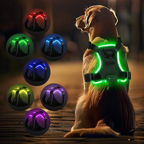 MASBRILL Hundegeschirr Leuchtend, LED Hundegeschirr Aufladbar & Einstellbar für Welpen Kleiner Mittlerer Große Hund, 7-Farben ändern 8-Beleuchtungsmodi Atmungsaktiv Leucht Geschirr (Schwarz XS) von MASBRILL
