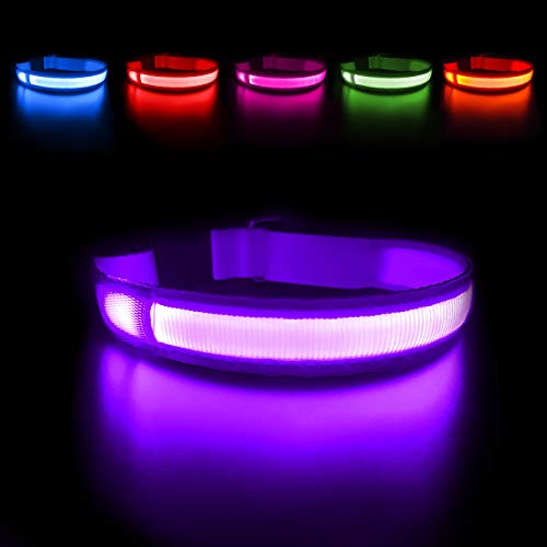 MASBRILL Hundehalsband Leuchtend Aufladbar, LED Leuchthalsband Hunde Wasserdicht für Kleine Mittlere Große Hunde Einstellbar Blinklicht Sicherheit Hunde Halsband mit 3 Beleuchtungsmodi, Lila - S MASBRILL Hundehalsband Leuchtend Aufladbar, LED Leuchthalsband Hunde Wasserdicht für Kleine Mittlere Große Hunde Einstellbar Blinklicht Sicherheit Hunde Halsband mit 3 Beleuchtungsmodi, Lila - S von MASBRILL