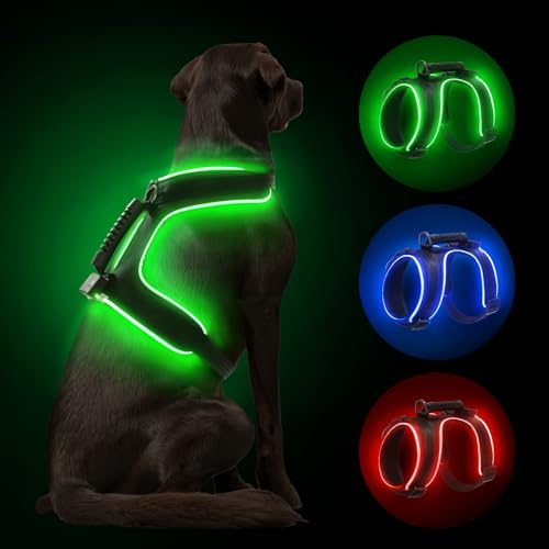MASBRILL LED Hundegeschirr Leuchtend, Leuchtgeschirr für Hunde Aufladbar Verstellbar LED Leucht Brustgeschirr mit Griff für Klein Mittelgroße Grosse Hund Beleuchtetes Hundegeschirr(Schwarz Grün,M) von MASBRILL