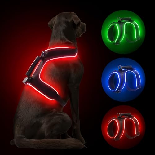 MASBRILL LED Hundegeschirr Leuchtend, Leuchtgeschirr für Hunde Aufladbar Verstellbar LED Leucht Brustgeschirr mit Griff für Klein Mittelgroße Grosse Hund Beleuchtetes Hundegeschirr(Schwarz Rot,L) von MASBRILL