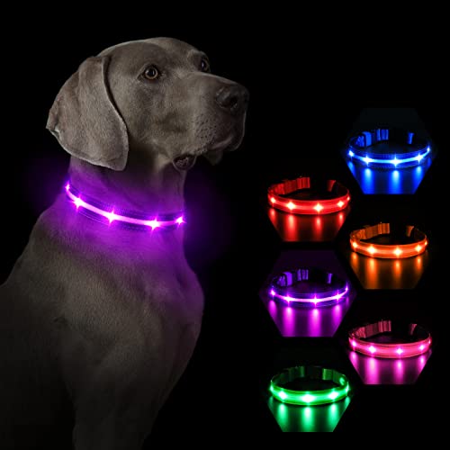 MASBRILL Leuchthalsband Hunde Aufladbar, LED Hundehalsband Leuchtend 3 Blinkende Lichter Wasserdicht Einstellbare Beleuchtetes Sicherheit Halsband für Klein Mittlere Große Hunde, Lila L von MASBRILL