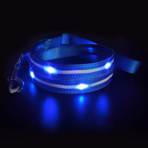 MASBRILL LED Hundeleine, Leuchtend Hundeleine für Kleine, Mittelgroße Große Hunde, USB Wiederaufladbar & Wasserdicht, 3 Beleuchtungsmodi 5 Farben Erhältlich, Sichtbarkeit bis zu 350M(Blau) von MASBRILL