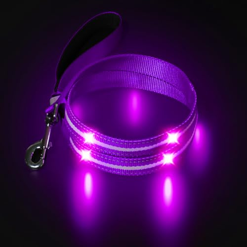 MASBRILL LED Hundeleine, Leuchtend Hundeleine für Kleine, Mittelgroße Große Hunde, USB Wiederaufladbar & Wasserdicht, 3 Beleuchtungsmodi 5 Farben Erhältlich, Sichtbarkeit bis zu 350M(Lila) von MASBRILL