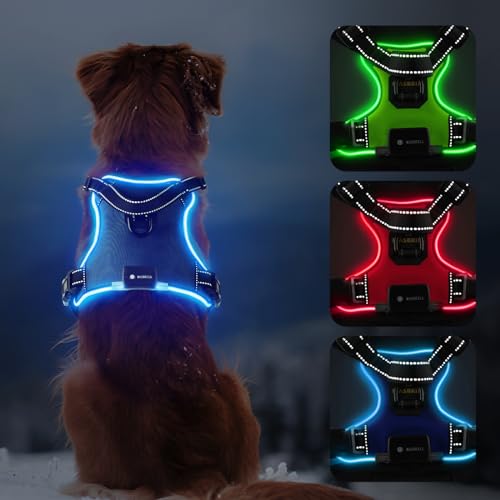 MASBRILL Leuchtgeschirr für Hunde Aufladbar, Hundegeschirr Leuchtend ür Klein Mittelgroße Grosse Hund, LED Hundegeschirr Verstellbar Reflektierende Brustgeschirr Beleuchtetes Hundegeschirr(Blau, XL) MASBRILL Leuchtgeschirr für Hunde Aufladbar, Hundegeschirr Leuchtend ür Klein Mittelgroße Grosse Hund, LED Hundegeschirr Verstellbar Reflektierende Brustgeschirr Beleuchtetes Hundegeschirr(Blau, XL) von MASBRILL