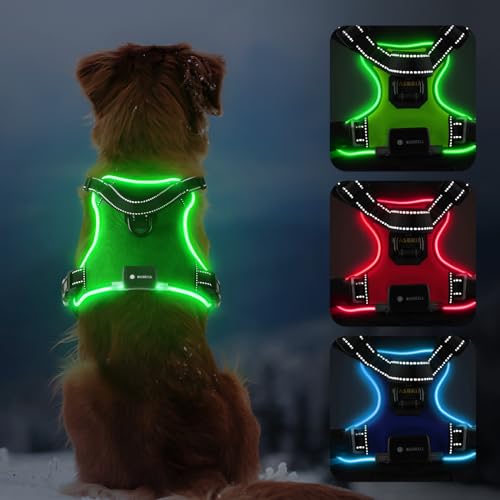 MASBRILL Leuchtgeschirr für Hunde Aufladbar, Hundegeschirr Leuchtend ür Klein Mittelgroße Grosse Hund, LED Hundegeschirr Verstellbar Reflektierende Brustgeschirr Beleuchtetes Hundegeschirr(Grün, L) MASBRILL Leuchtgeschirr für Hunde Aufladbar, Hundegeschirr Leuchtend ür Klein Mittelgroße Grosse Hund, LED Hundegeschirr Verstellbar Reflektierende Brustgeschirr Beleuchtetes Hundegeschirr(Grün, L) von MASBRILL