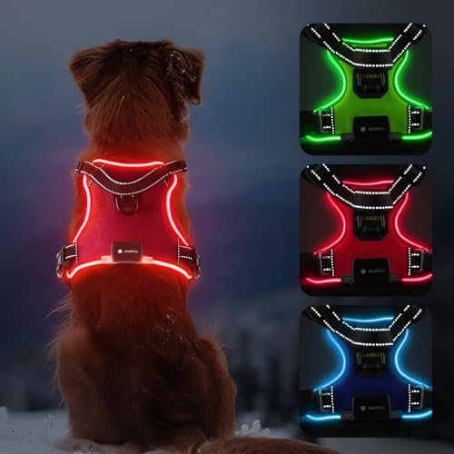 MASBRILL Leuchtgeschirr für Hunde Aufladbar, Hundegeschirr Leuchtend ür Klein Mittelgroße Grosse Hund, LED Hundegeschirr Verstellbar Reflektierende Brustgeschirr Beleuchtetes Hundegeschirr(Rot, XL) von MASBRILL