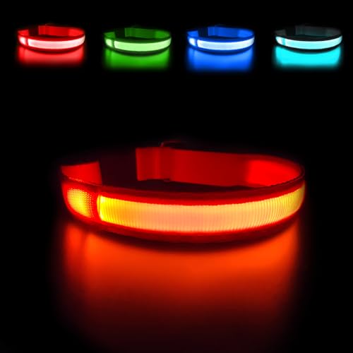 MASBRILL Leuchthalsband Hund, Hundehalsband Leuchtend Aufladbar USB-C, LED Halsband für Hunde Einstellbare Wasserdicht, Halsband Hund Leuchtend 3 Lichtmodi für Kleine Mittlere Große Hunde(Orange M) MASBRILL Leuchthalsband Hund, Hundehalsband Leuchtend Aufladbar USB-C, LED Halsband für Hunde Einstellbare Wasserdicht, Halsband Hund Leuchtend 3 Lichtmodi für Kleine Mittlere Große Hunde(Orange M) von MASBRILL