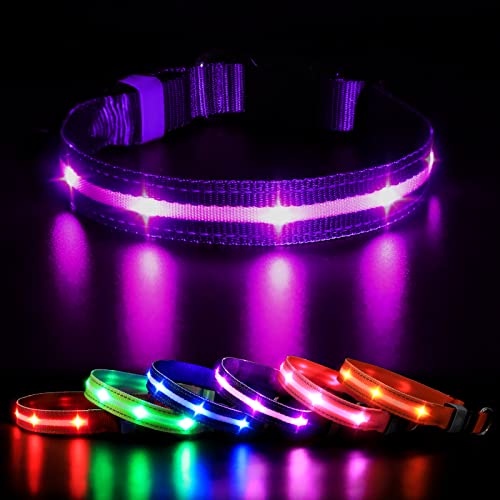 MASBRILL Leuchthalsband Hunde Aufladbar, LED Hundehalsband Leuchtend 3 Blinkende Lichter Wasserdicht Einstellbare Beleuchtetes Sicherheit Halsband für Klein Mittlere Große Hunde, MASBRILL Leuchthalsband Hunde Aufladbar, LED Hundehalsband Leuchtend 3 Blinkende Lichter Wasserdicht Einstellbare Beleuchtetes Sicherheit Halsband für Klein Mittlere Große Hunde, von MASBRILL