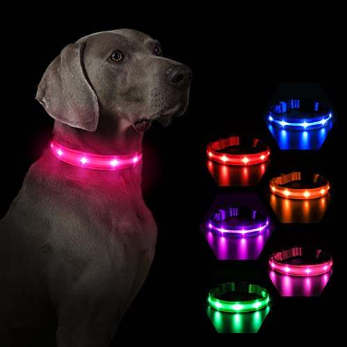 MASBRILL Leuchthalsband Hunde Aufladbar, LED Hundehalsband Leuchtend 3 Blinkende Lichter Wasserdicht Einstellbare Beleuchtetes Sicherheit Halsband für Klein Mittlere Große Hunde, Pink S von MASBRILL