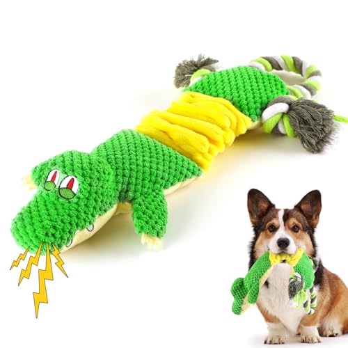 MASBRILL Puppy Hundespielzeug, Squeaky Hundespielzeug, Plüsch Hunde Spielzeug für kleine mittlere Rassen, Interaktives Hundekauspielzeug, um sie beschäftigt zu halten, Grün MASBRILL Puppy Hundespielzeug, Squeaky Hundespielzeug, Plüsch Hunde Spielzeug für kleine mittlere Rassen, Interaktives Hundekauspielzeug, um sie beschäftigt zu halten, Grün von MASBRILL