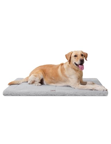 MASSFU Waschbares Hundebett für extra große Hunde, wendbar, ultraweich, flauschiger Schaumstoff, Haustierbetten für drinnen und draußen, 111,8 x 81,3 cm, Grau von MASSFU