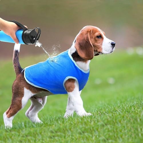 Kühlmantel für Hunde, atmungsaktiv, verstellbar, für den Sommer, kühlende Weste für kleine, mittelgroße und große Hunde, leichter Sonnenschutz für Spaziergänge im Freien, Wandern und Training, hält von MATSOONY